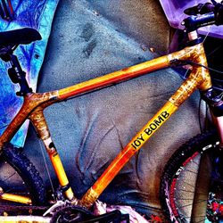 Joy Bomb Bamboo Bike