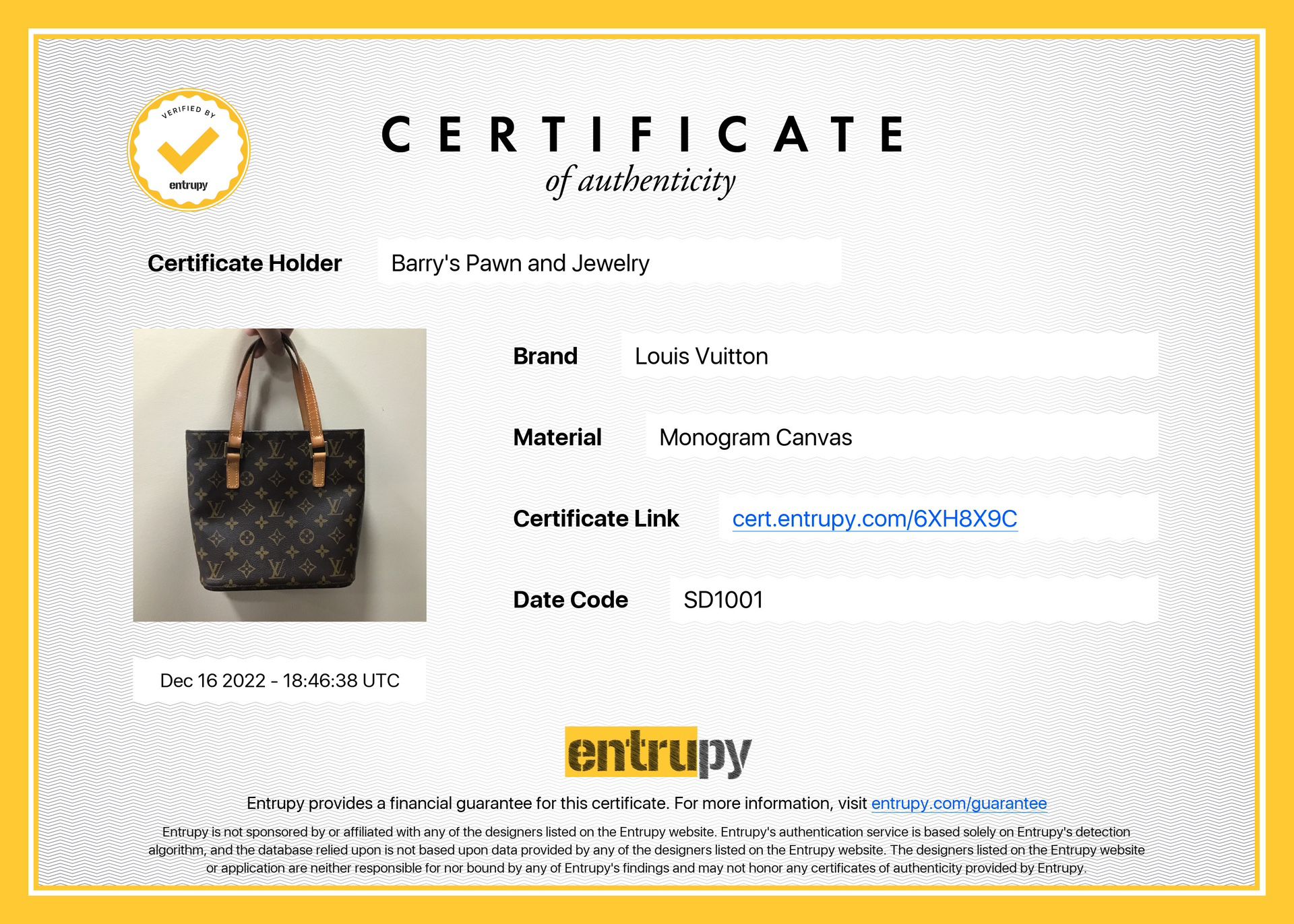 Louis Vuitton Vavin PM Monogram Handbag Entrupy Authenticated for Sale in  Boca Raton, FL - OfferUp