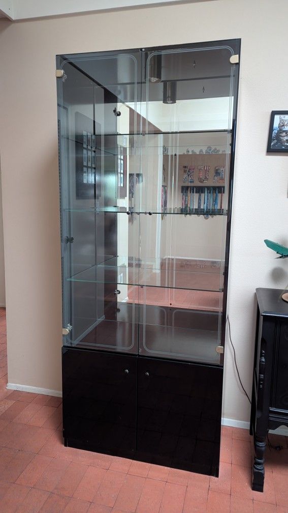 Black Display Case
