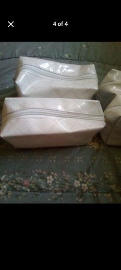 $3.00 each make up bag or anything that fits in it