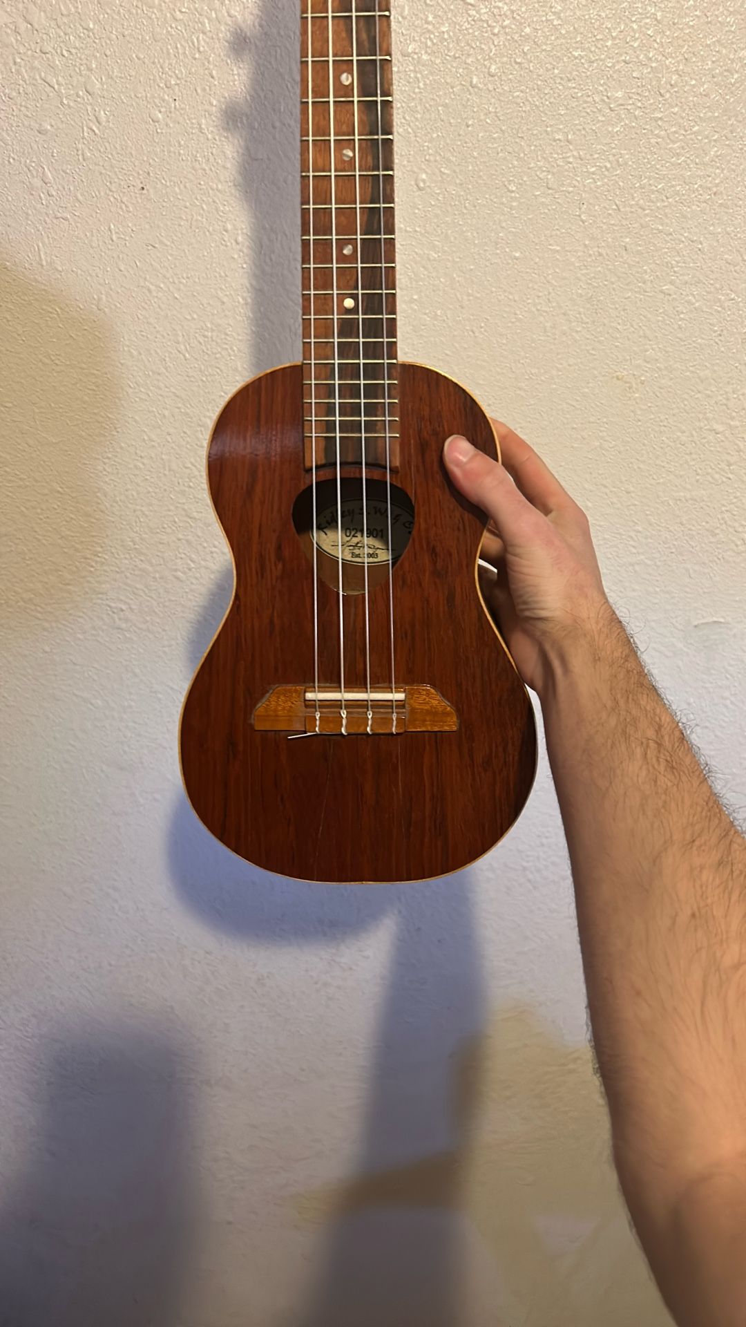 Custom Ukelele