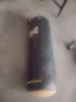 Everlast boxing bag