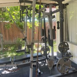 Gym Weights And Rack 