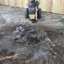 Stump Grinding 