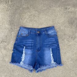 Distressed Jean Shorts 