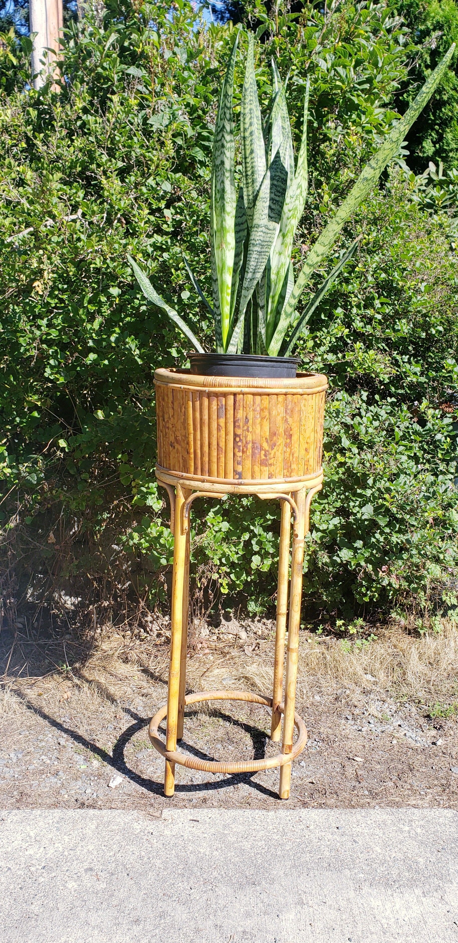 vintage tall bamboo plant stand