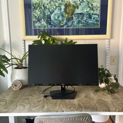 DELL monitor