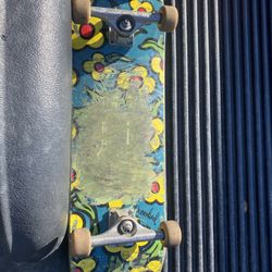 Skate Board 