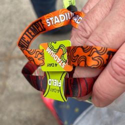 Sonic Temple, Festival, Passes