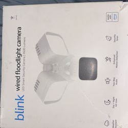 Blink Wired Foodlight Camera