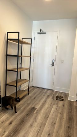 Shelf