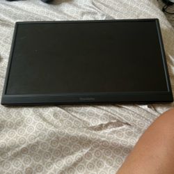Portable monitor?