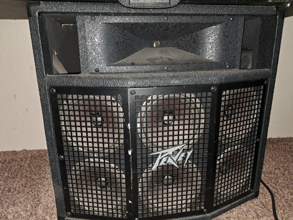 Peavey Guitar AmpWith Speakr