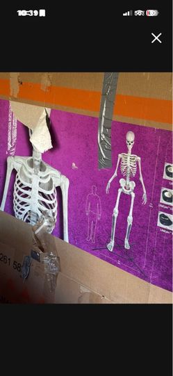 12 ft skeletal
