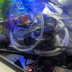 10 Gallon Fish Tank W/ Accessories and Decorations 