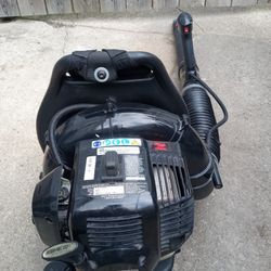 Craftsman BackPack Blower (205 MPH Airspeed)