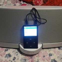 Ipod And Bose System 30gb