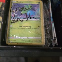 POKEMON MERRY HOLIDAY BOX