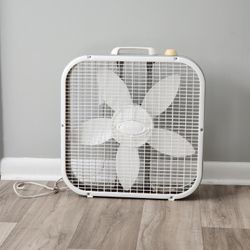 Fan