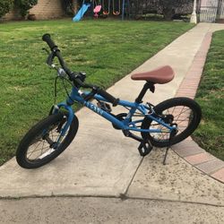 Used cleary clearance hedgehog
