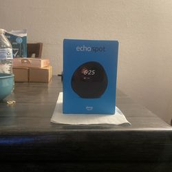 Echo Spot Alarm