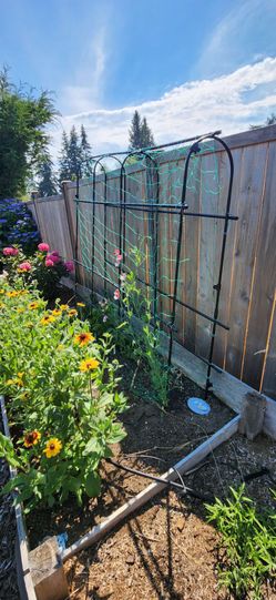 Vegetable Garden Lattice