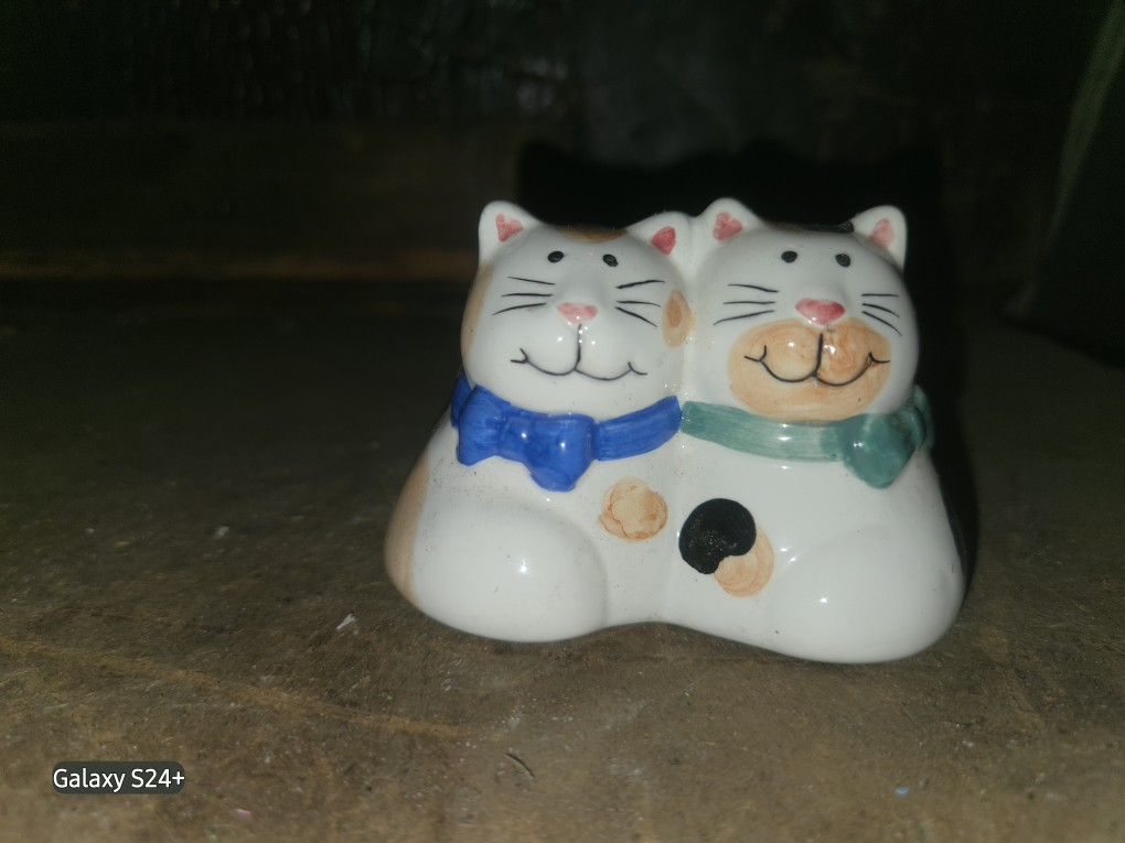 FOR ALL YOU CAT LOVERS OUT THERE!