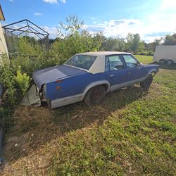 1979 Delta 88 Oldsmobile