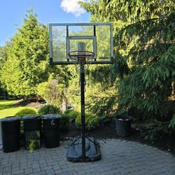 Lifetime Basketball Hoop 10 Ft