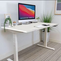 flexispot adjustable stand up desk 