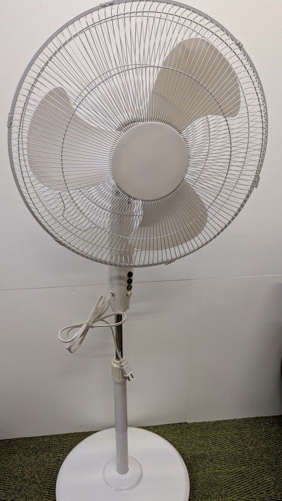 Oscillating Fan