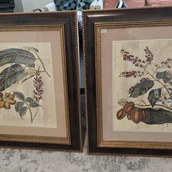 2 set of Framed botanical art