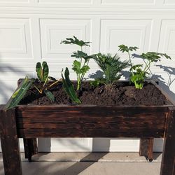 Raised Garden Planter: Shou Sugi Ban-Style