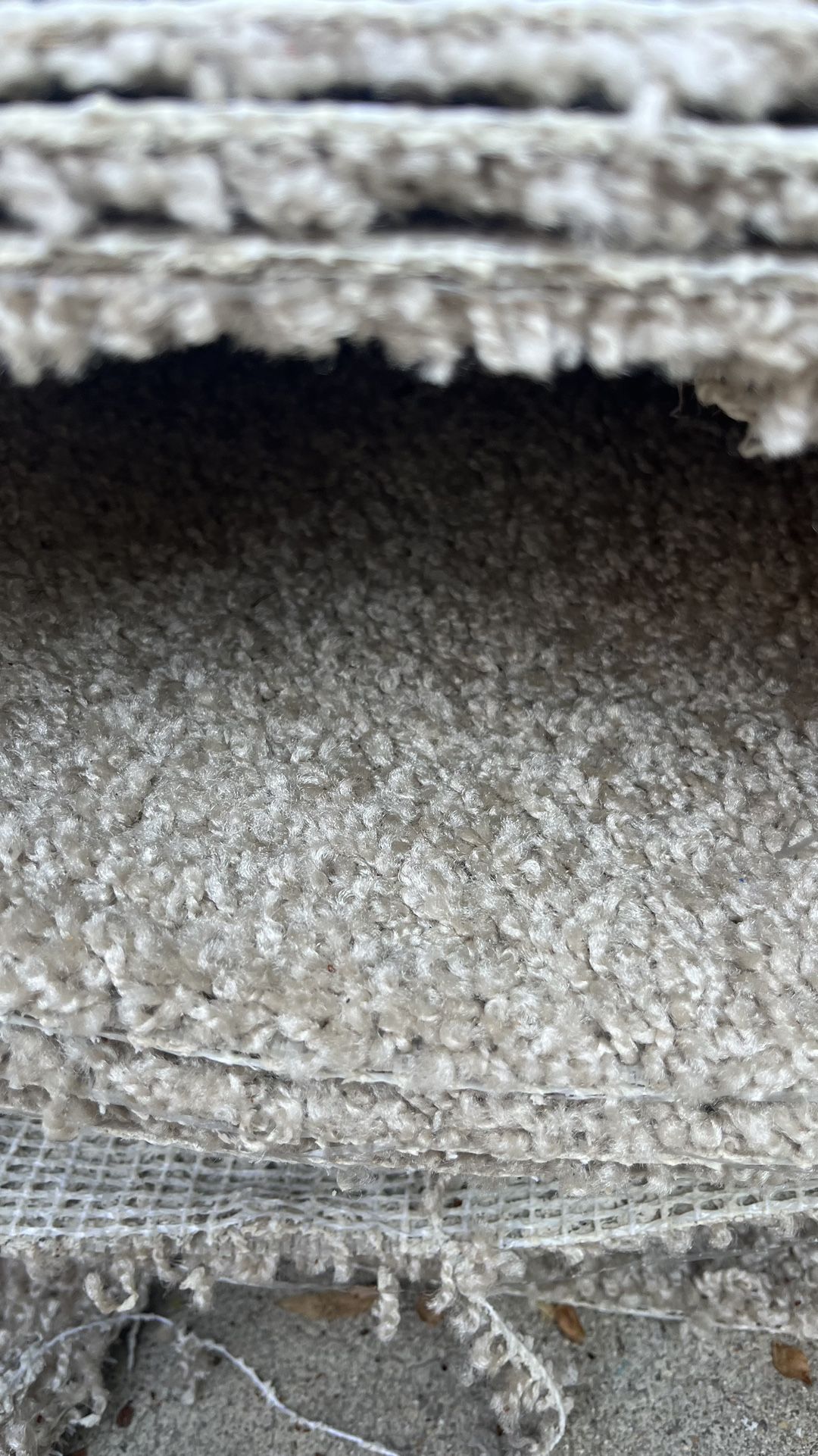 12’ X 20’ Ivory/ Cream Low Pile Carpet Need Gone