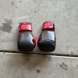 Rehear Pro Gear For Pro Fighters Boxing Gloves