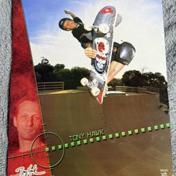 Tony Hawk Poster 