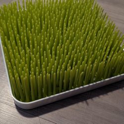 Boon Grass