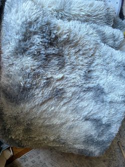 Large furry carpet
