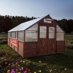 🌱🏡 Your Dream Greenhouse Has Arrived at Shed Gal! 🏡🌱