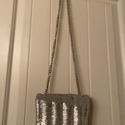 Silver Purse
