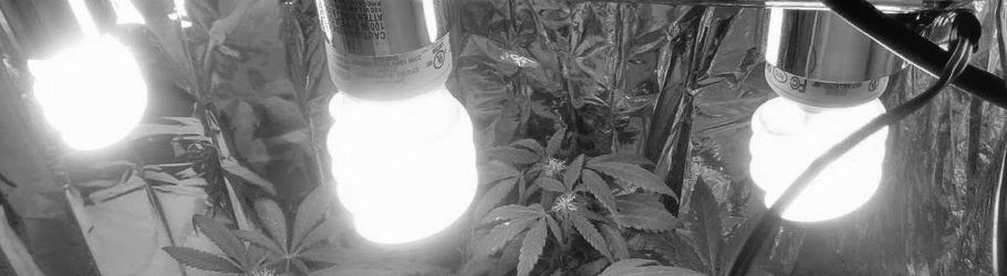 Custom CFL Grow Light