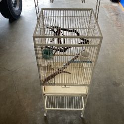 Bird Cage