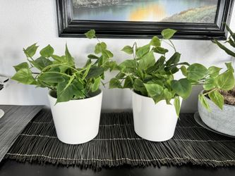2 - Artificial Plants in Pots
