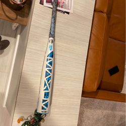 Maximum Baseball Bat Big Barrel