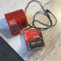 Milwaukee charger & New Battery 