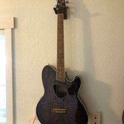 Ibanez Acoustic Electric