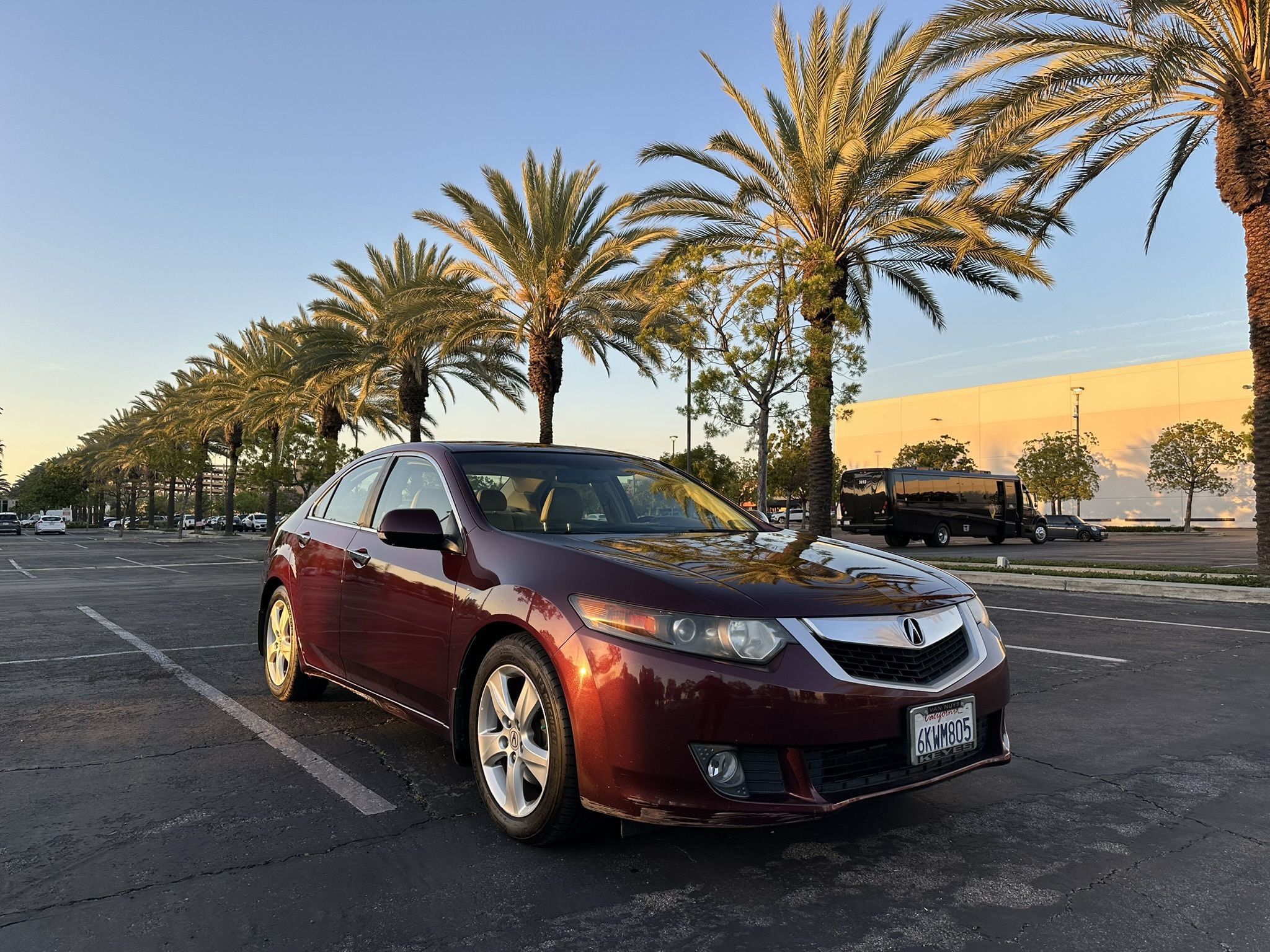 2010 Acura TSX