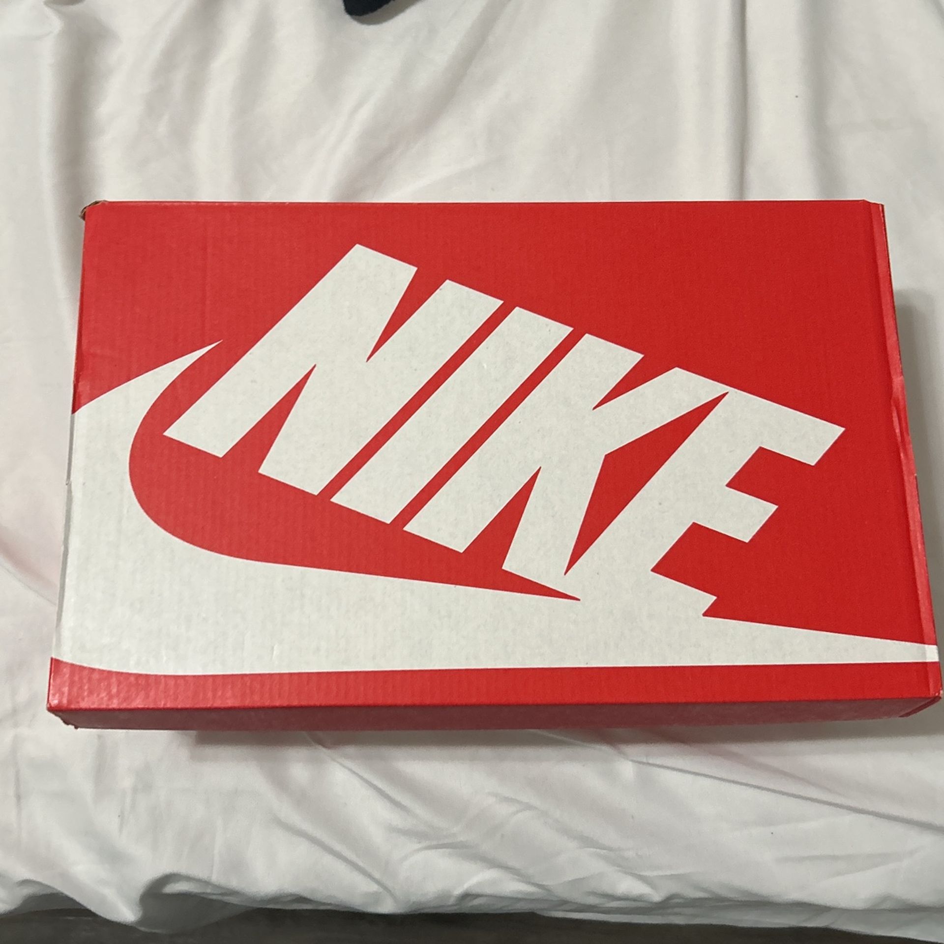 Women low top Nike Dunks