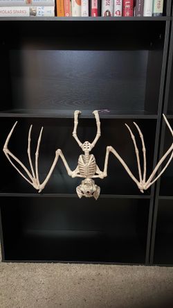 Halloween Hanging Skeleton Bat