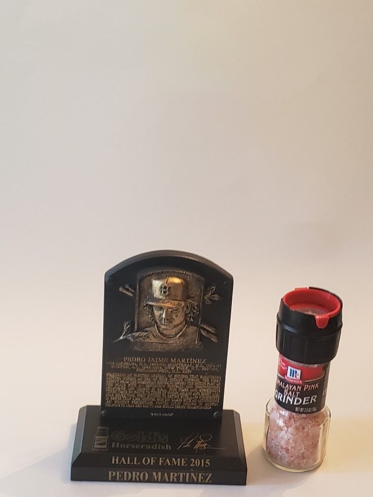Pedro Martinez Hall Of Fame 2015 Mini Plaque